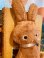 画像3: Knickerbocker GingerBread rabbit