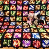Granny square gradient color knit blanket