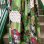 画像5: (SALE) Vintage Light green line patchwork wrap skirt