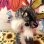 画像9: Vintage Lenticular eye dog bobblehead