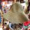 画像2: Vintage openwork knitting hat (2)