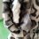 画像7: (SALE) Vintage bk.gy leopard eco fur reversible coat
