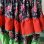 画像6: Vintage ruffle line flower pattern circular skirt