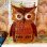 画像2: Vintage lucite owl napkin holder (2)