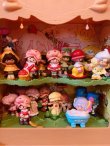 画像10: VINTAGE StrawberryShortCake DollHouse PVC 19 SET