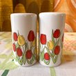 画像1: RD/YE Tulips Salt&Pepper 2P