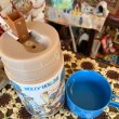 画像3: Vintage Aladdin HOLLY HOBBIE thermos