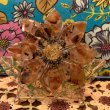 画像4: Vintage lucite flower napkin holder