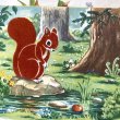 画像6: 1948 Vintage flocking squirrel book