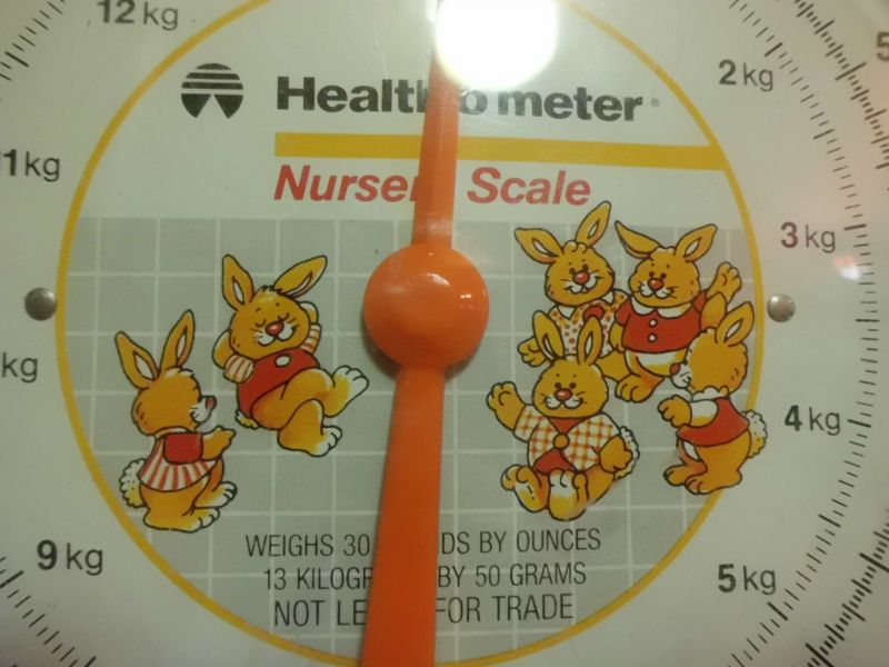 画像: Rabbit Health Meter