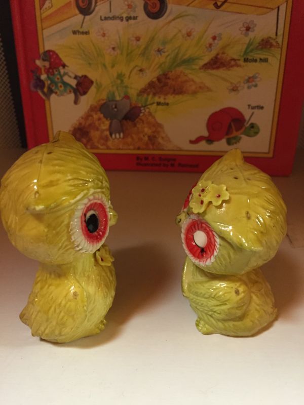 画像: FLOWER OWL Salt＆Pepper